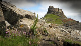 An image from "In the Footsteps of Kings"