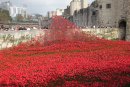 An image from "For the Fallen"