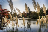 An image from "On Golden Ponds"