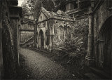 An image from "Highgate Cemetery"