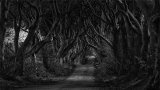 An image from "Walking With Grief"