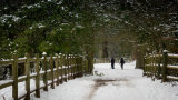 An image from "Winter's Naked Wood"