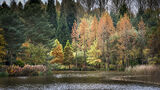 An image from "Wonder Fall"