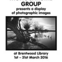 Current Exhibitions