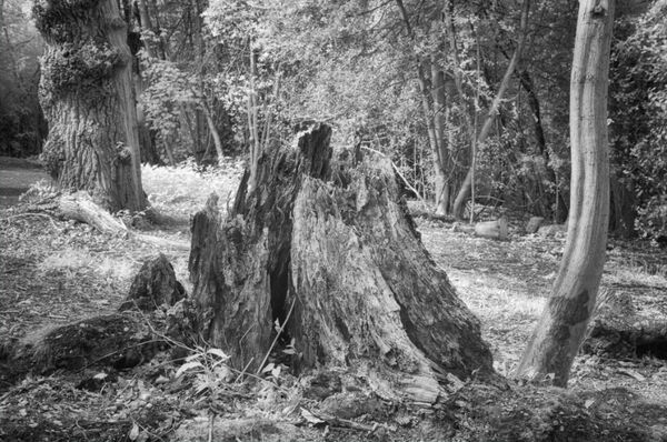 Danbury Lakes 2 - IR