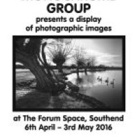 Current Exhibitions - The Forum and Farleigh Hospice