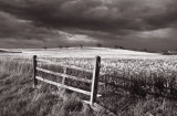 Storm Clouds
