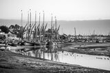 essex mono maldon