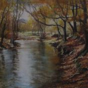 Autumn in The Birks