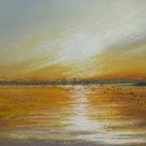 Birds Flocking on the Water