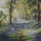The Bluebell Wood