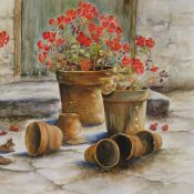 Geraniums and Old Flowerpots