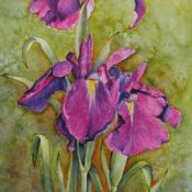 Japanese Irises
