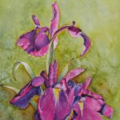 Japanese Irises