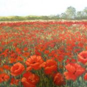 Poppies in a Field