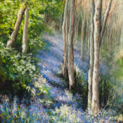 The Bluebell Wood