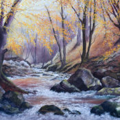 Woodland Burn