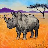 Rhinoceros