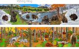 Brown Bear and Wolf Book 5 Shing Hing Commission