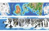 Penguins and Polar Bear Book 6 Shing Hing Commission