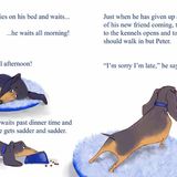 The Short Tale of Sad Norace