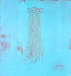 Anaphora II <br> Etching, edt 15 <br> 60 x 54 cm, 2014