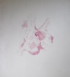 Aborescence III<br>Etching, edt 15 <br>60 x 54 cm, 2016