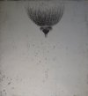 Dissicio III<br> Etching, edt 15 <br> 60 x 54 cm, 2014