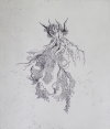 Emergo II<br>Etching, edt 20 <br>60 x 54 cm, 2016