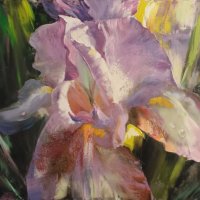 Lily explosion, SOLD