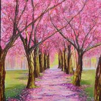 Sunset cherry  blossom