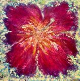 Hibiscus III