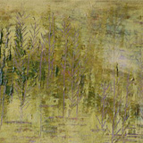 Lonesome Pine