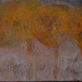Orchard Meadow