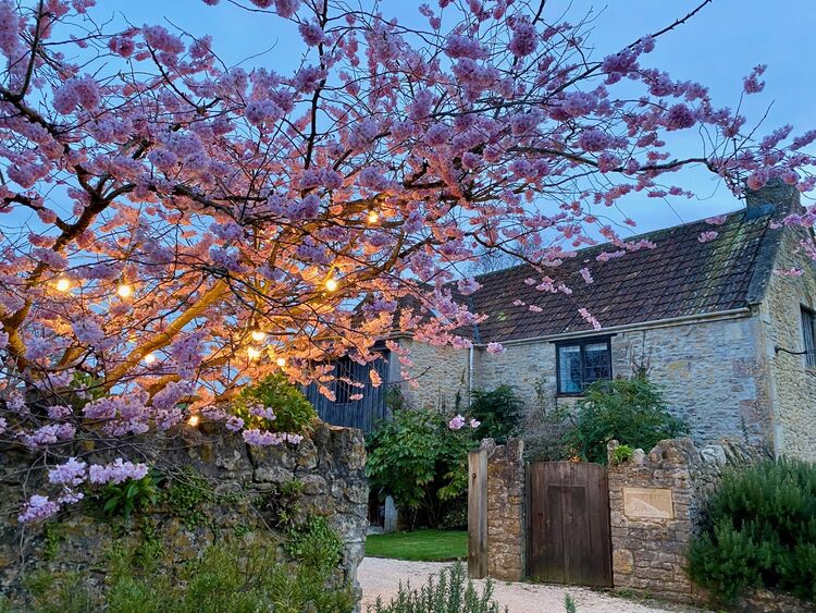 Entrances to Art Cottage and Art Studio