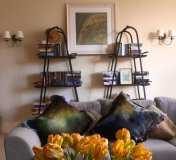 Icarus in a customer's house