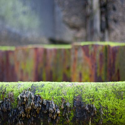Old sea wall Overstrand Norfolk