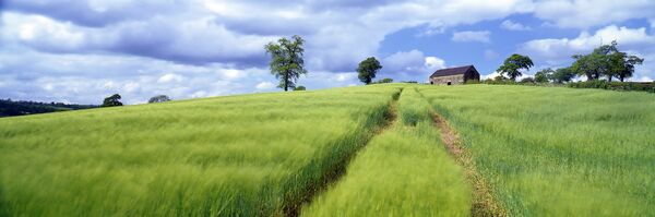 Derbyshire landscape