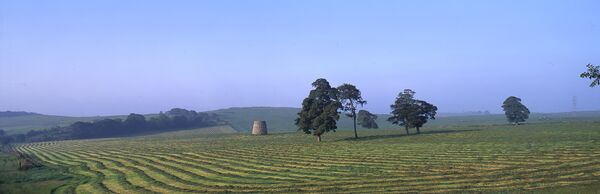 WIDE ANGLE ANALOGUE IMAGES 