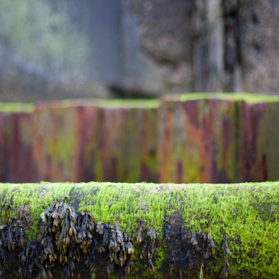 HOMAGE TO A SEA WALL