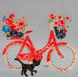 Dotty about bikes