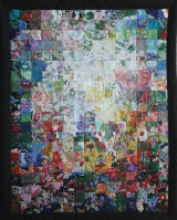 Clearing in the woods