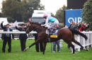Frankel on his final racecourse appearance, remaining unbeaten.