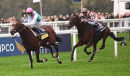 Frankel on his final racecourse appearance, remaining unbeaten.