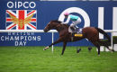 Frankel on his final racecourse appearance, remaining unbeaten.