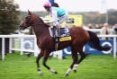 Frankel on his final racecourse appearance, remaining unbeaten.