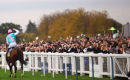 Frankel on his final racecourse appearance, remaining unbeaten.