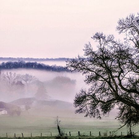 OCTOBER 2020 ~ LANDSCAPE COMPETITION