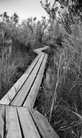 Fenland Escape