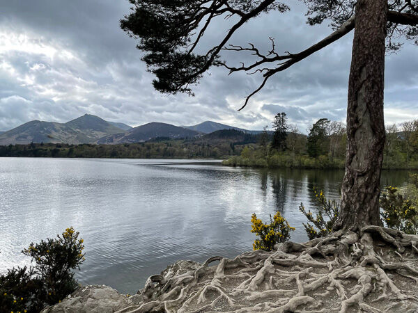 A Tranquil Friar's Crag